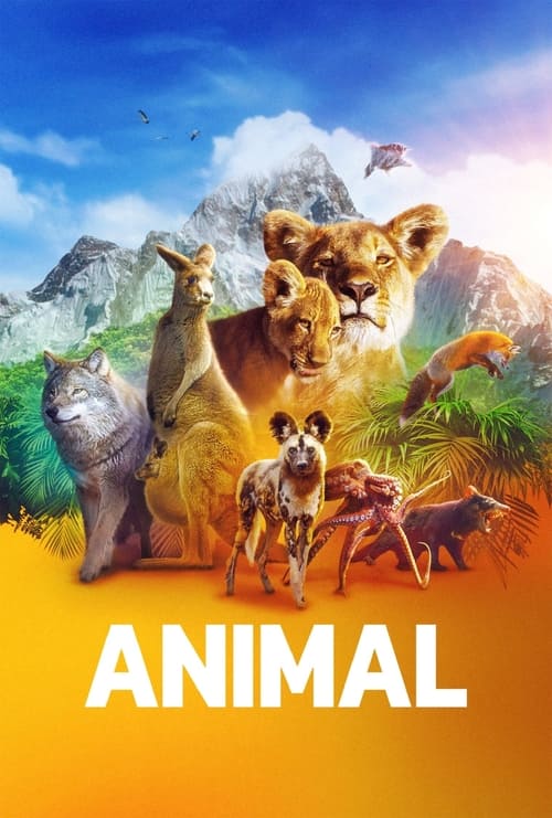 Animal : 2.Sezon 2.Bölüm