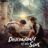 Descendants of the Sun : 1.Sezon 14.Bölüm izle