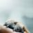 Dogs : 2.Sezon 3.Bölüm izle