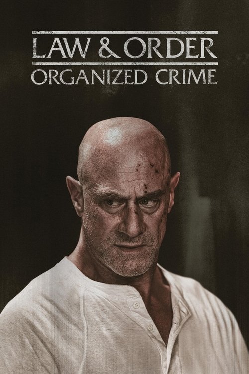Law & Order Organized Crime : 5.Sezon 9.Bölüm
